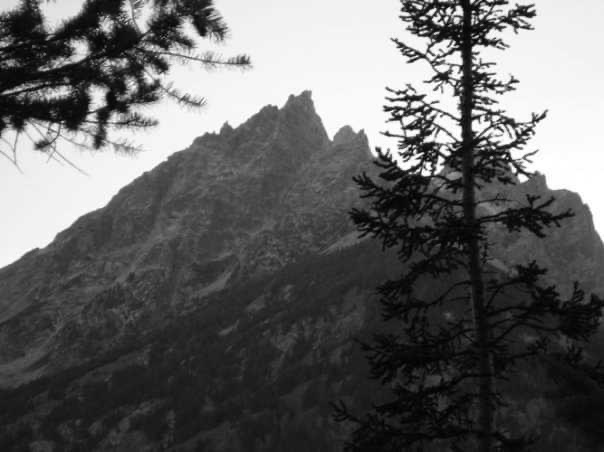 Black and white photo of a mountain, the Grand Teton, framed by tree branches at Jenny Lake in Grand Teton National Park, Wyoming.