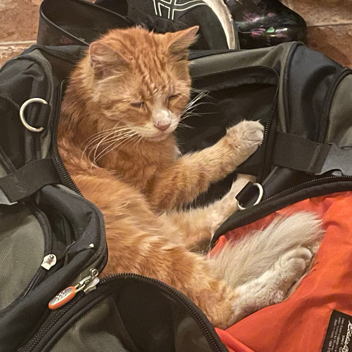 Supposedly happy I’m&nbsp;home