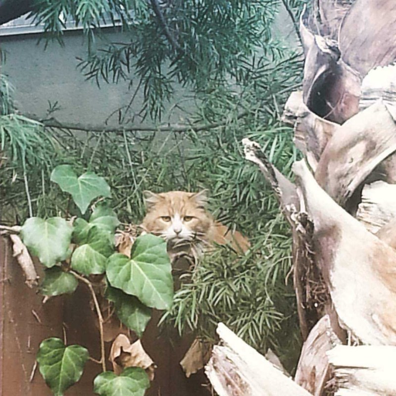 Garbo 2015 – Jan 2,&nbsp;2026